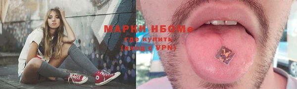 стаф Алексин