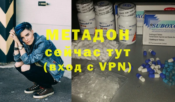 стаф Алексин