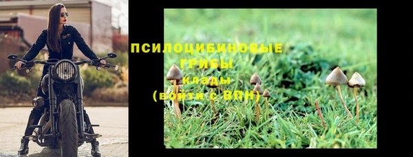 стаф Алексин